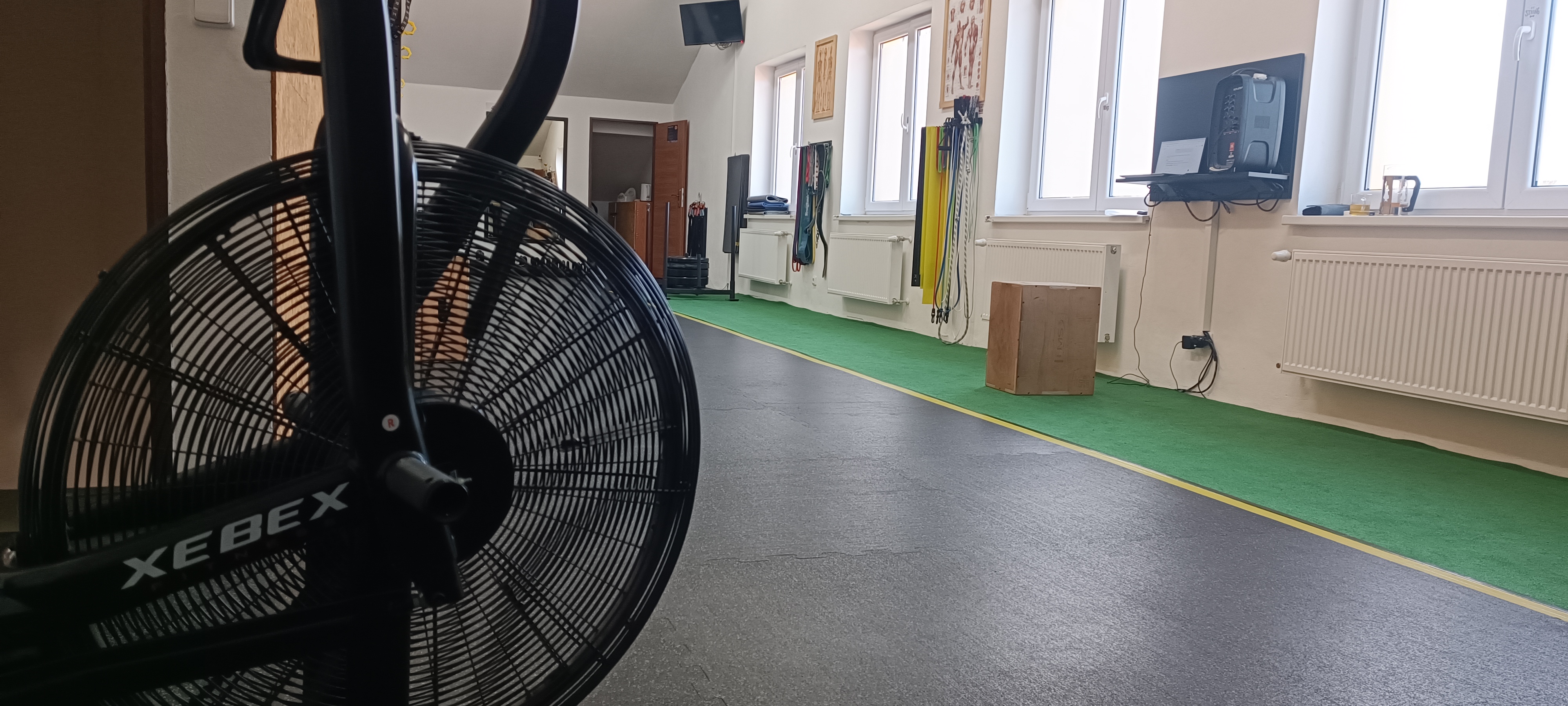 Soukromý trénink v TĚLO!cvična Aš